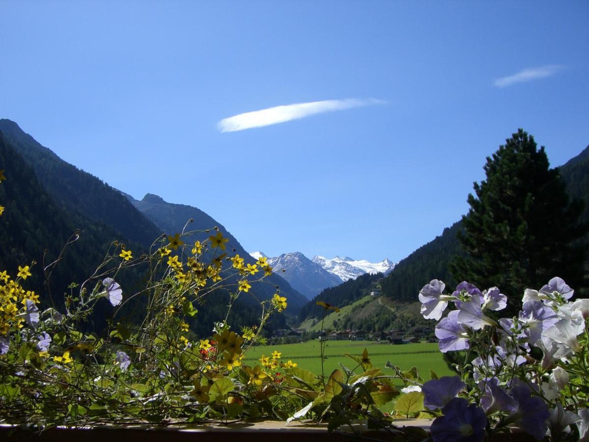 Landhaus Hofer Neustift im Stubaital Exterior photo